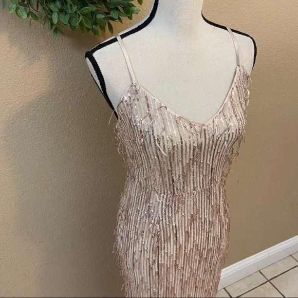 Endless Festivities Rose Gold Sequin Fringe Lace-Up Maxi Dress - Picture 10 of 15
